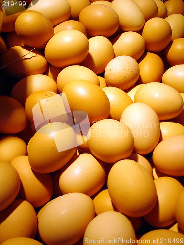 Image of Egg background