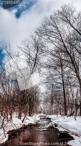 Image of winter river and trees