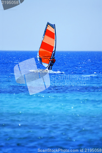 Image of Windsurfer