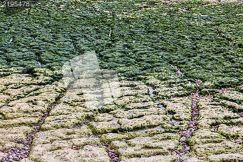 Image of Beach in Etretat- Detail