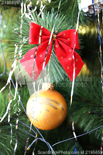Image of New Year's sphere on the fur-tree