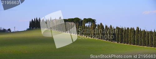 Image of Tuscan farmhouse (Podere)