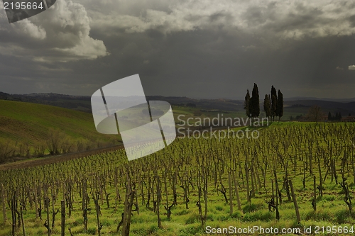 Image of Tuscan landscape