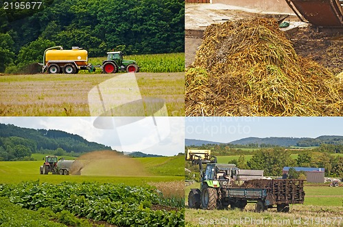 Image of tractor with dung trailer