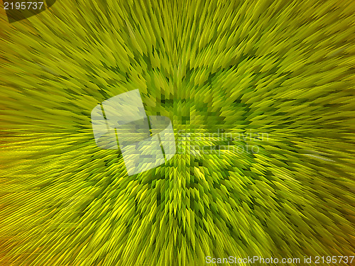 Image of green background with abstract stripes