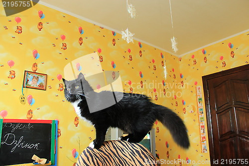 Image of Black cat on a chair in a children's room