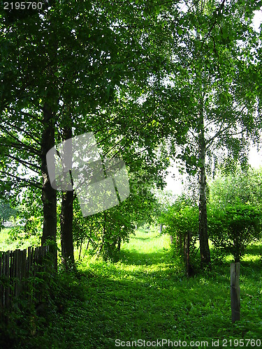 Image of summer landscape of little rural street