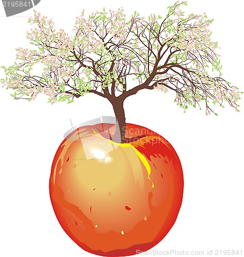 Image of new apple tree In Spring