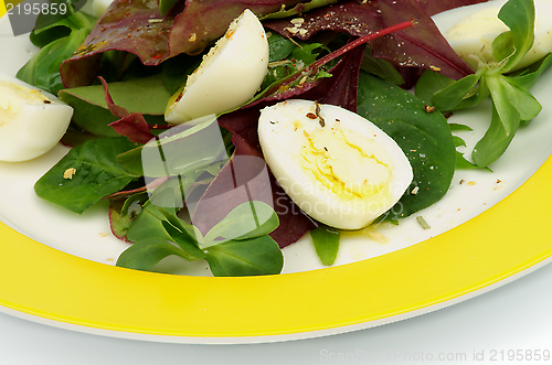 Image of Greens Salad