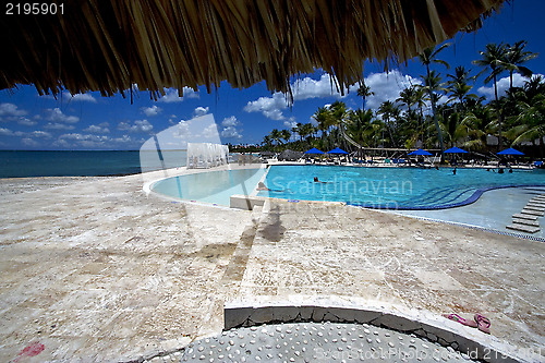 Image of   dominicana pool tree palm  peace marble