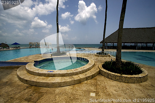 Image of  republica dominicana pool tree palm  peace 