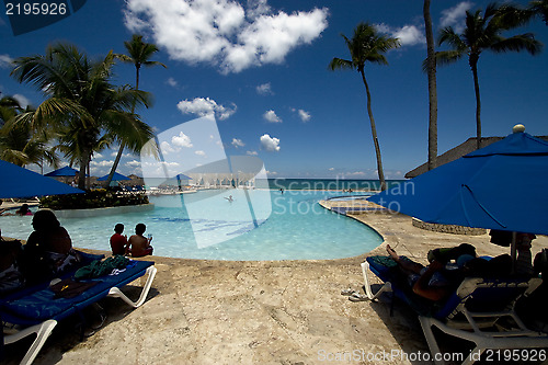 Image of tree palm  peace marble