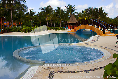 Image of mexico pool tree palm  peace