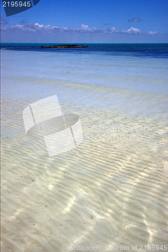 Image of  froth cloudy  relax and coastline in the caraibbien  