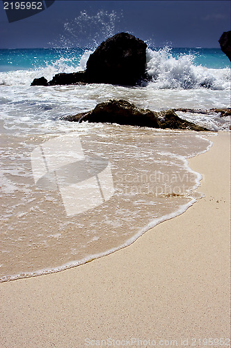 Image of  froth  and coastline in mexico playa del carmen
