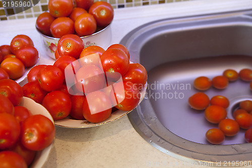 Image of wet tomatoes for pasteurization