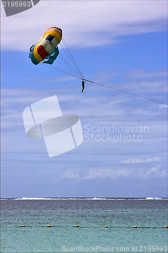 Image of  parachute mauritius belle mare