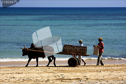 Image of hand cart  people dustman