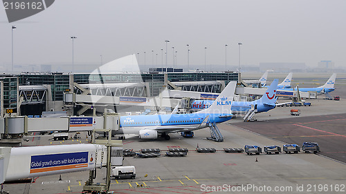 Image of Amsterdam, Netherlands: KLM planes being loaded