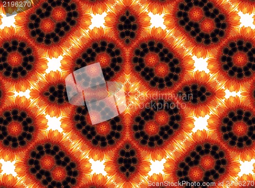 Image of Abstract flower pattern