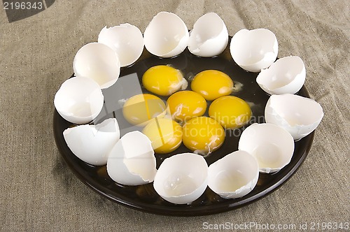 Image of eggs 