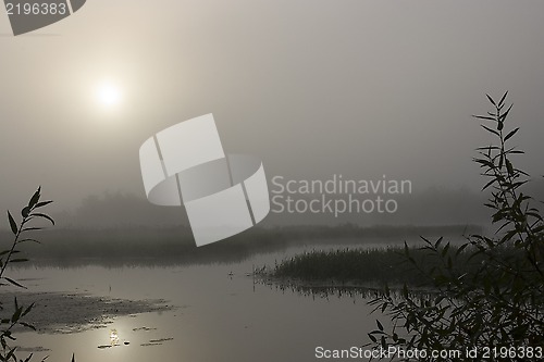 Image of Foggy morning