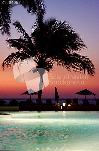 Image of swimming pool sunset parasol