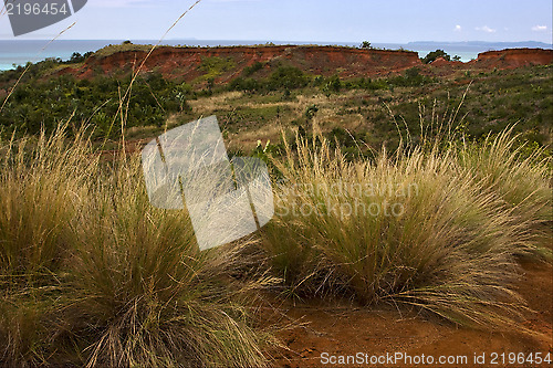 Image of hill bush plant lagoon and coastline