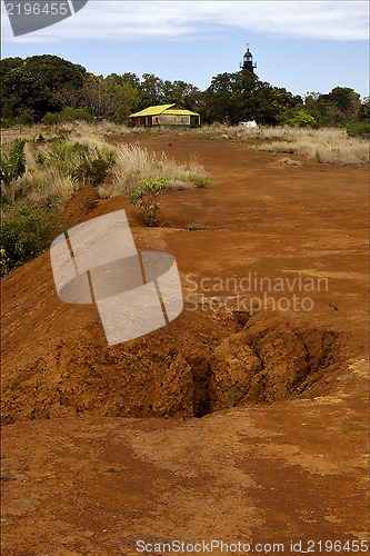 Image of lighthouse  hill bush plant lagoon 