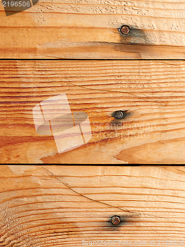 Image of Wooden shield with nails