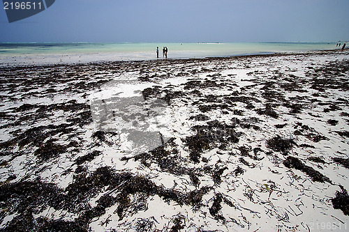 Image of people beach and sea 