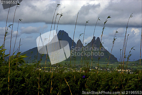 Image of mountain plant tree and hill