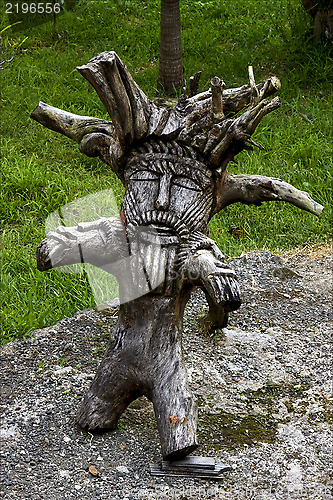 Image of  wood in  mauritius garden