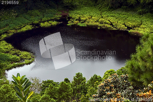 Image of  lake   plant tree and hill