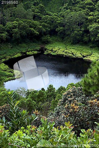 Image of  lake mountain plant tree
