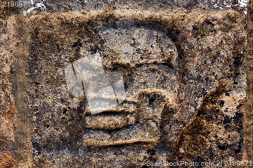 Image of skull the  abstract incision