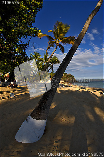 Image of madagascar nosy be  sand lagoon