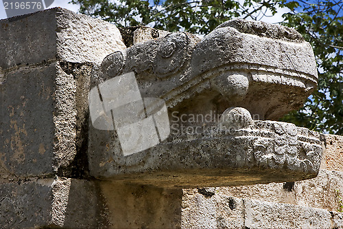 Image of mexico  skull snake 