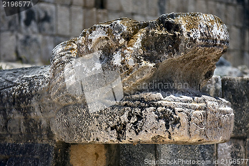 Image of skull snake  mexico the  abstract