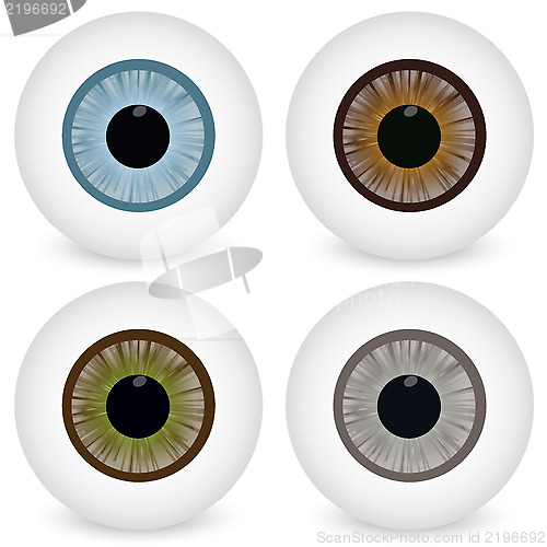 Image of Eye ball set