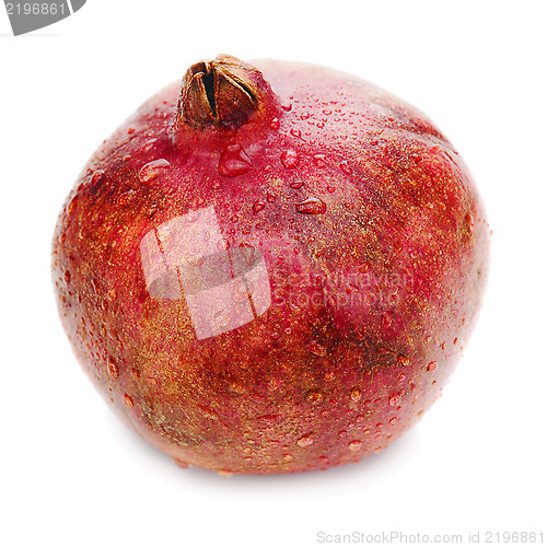 Image of Ripe pomegranate fruit isolated on white background. Closeup.