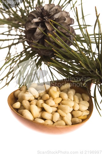 Image of Pine nuts