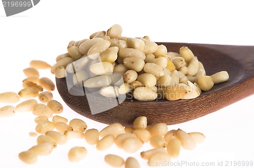 Image of Pine nuts