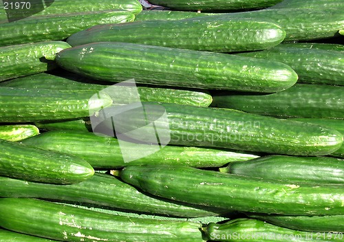 Image of Cucumber