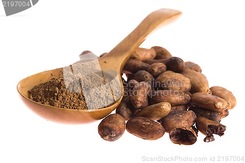 Image of Cacao beans isolated on white background