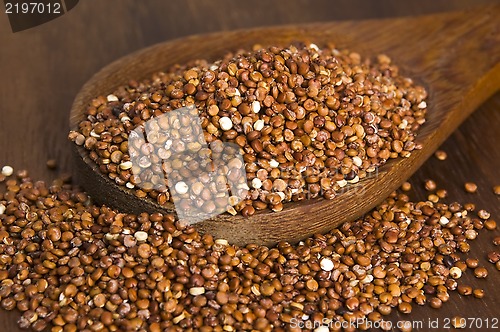 Image of Quinoa grain