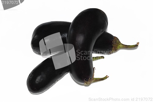 Image of Eggplant.
