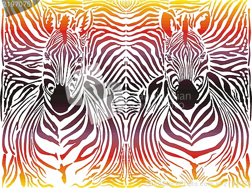 Image of Zebra abstract pattern background 