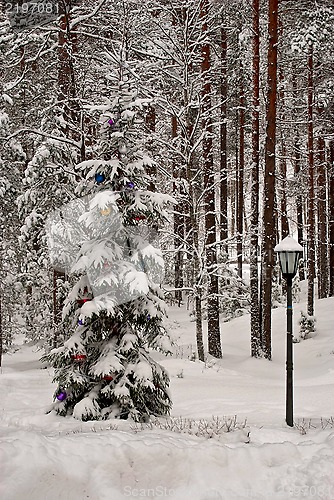 Image of New year's tree.