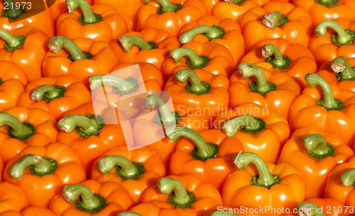 Image of Paprika